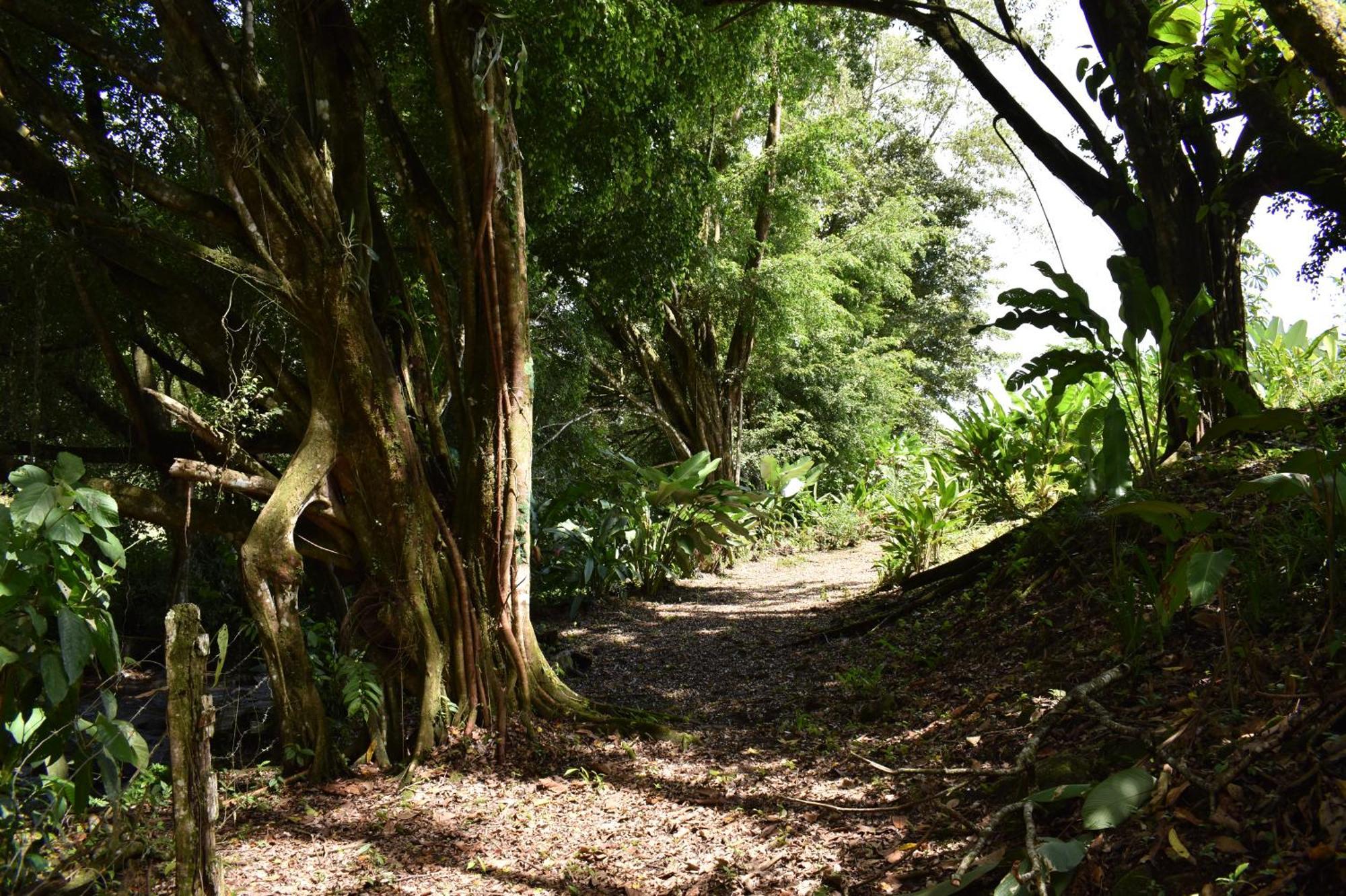Hotel Arenal Country 3*