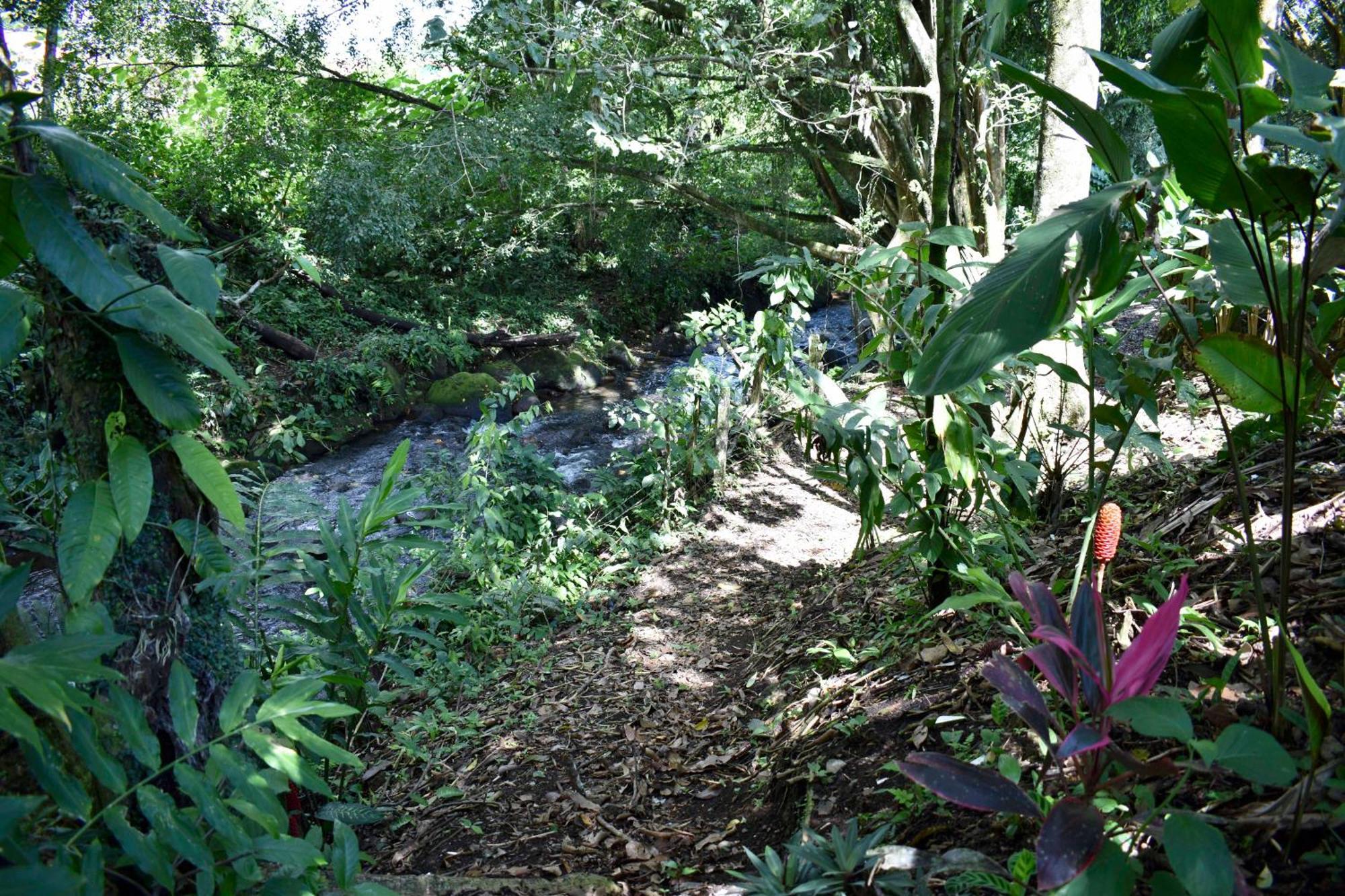 Hotel Arenal Country La Fortuna