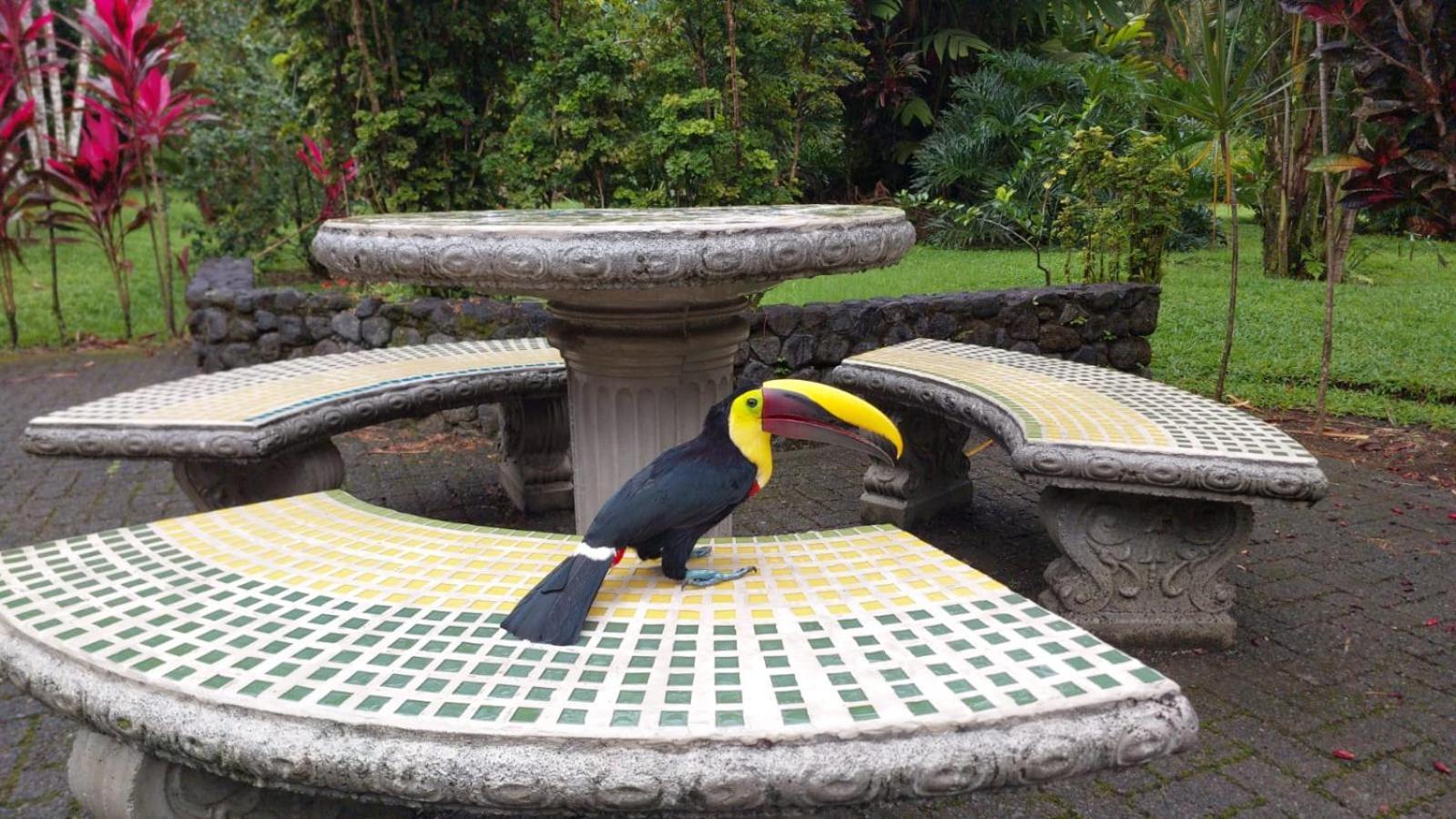 Arenal Country 3* La Fortuna