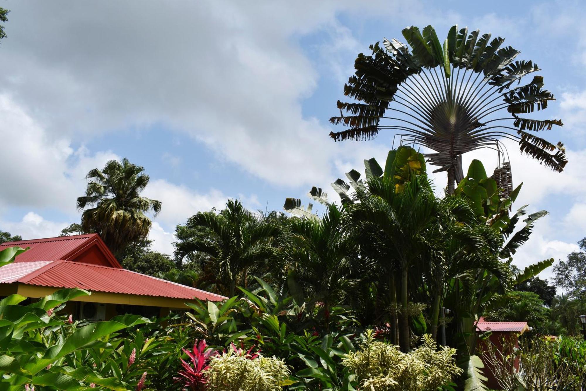 Arenal Country 3* La Fortuna